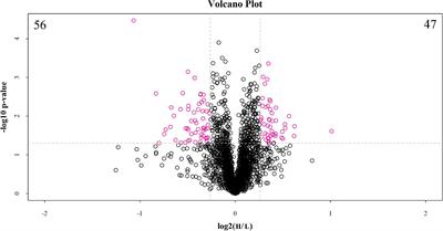 Novel Corneal Protein Biomarker Candidates Reveal Iron Metabolic Disturbance in High Myopia Eyes